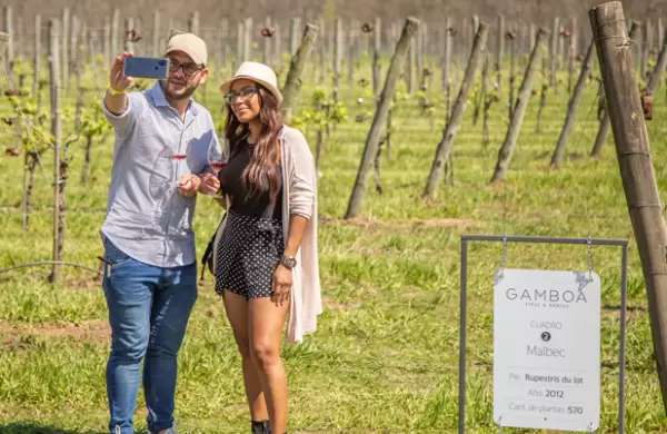 Un bodeguero propone convertir a inversores en productores de vino