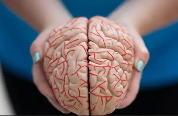Un último hallazgo sobre los genes y la estructura del cerebro podría ser clave para el futuro de los tratamientos psiquiátricos