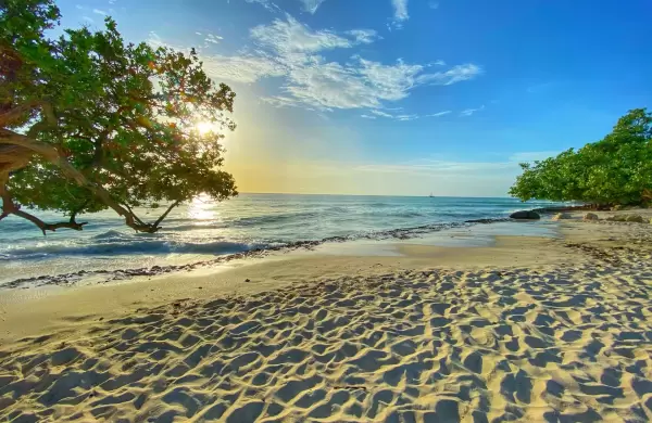 Por qu Aruba se posiciona como uno de los destinos ms cotizados e inclusivos del momento