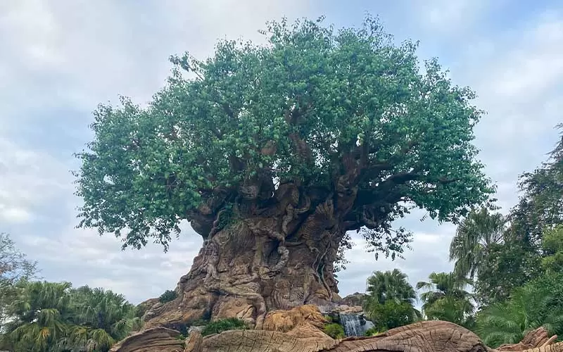 Tree of Life Animal Kingdom Disney