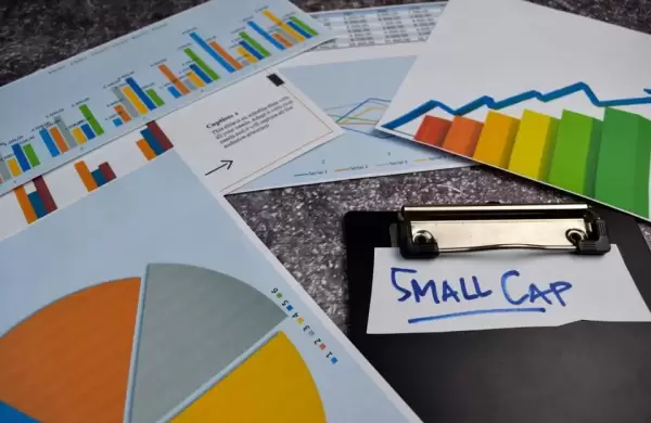 Cul es esta impactante cartera de pequea capitalizacin que rinde un 12%