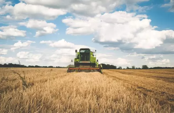 La liquidación de divisas del campo colapsó un 50% por la fuerte sequía y la industria tiene altos niveles de capacidad ociosa