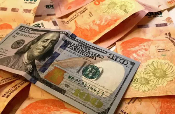 El dólar oficial subió un 9% en el año, pero la inflación avanzó un 60%: ¿Qué opina el mercado?