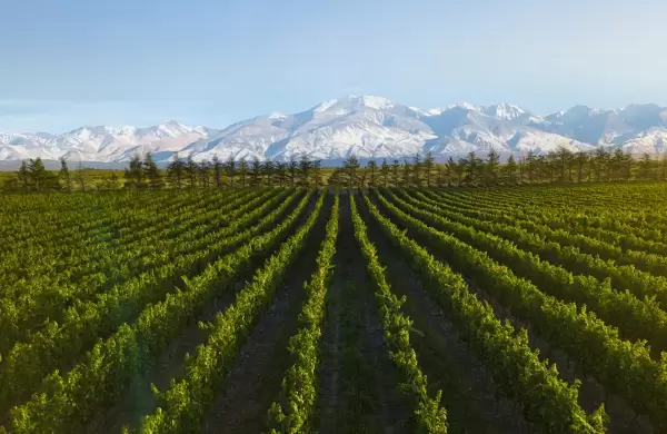 Qu es el mercado LOHA y por qu representa una oportunidad para el desarrollo de negocios