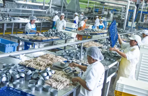 El mundo pide productos de mar pero la falta de transparencia del sector frena su crecimiento
