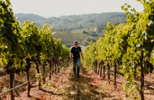 De Mendoza al mundo: por qué los mejores vinos provienen de viñedos de gran altura
