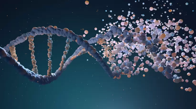 ADN, genoma