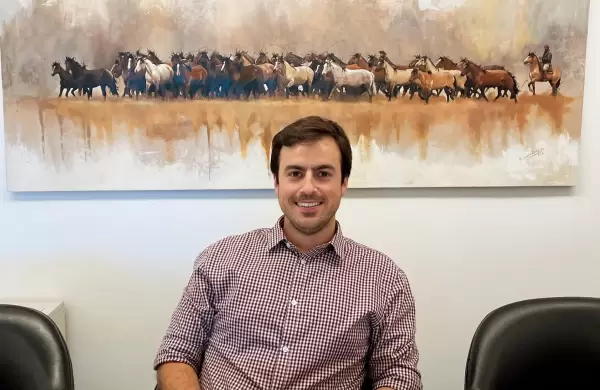 De acero damasco, acero al carbono o con trabajos artesanales: qu cuchillos comprar, guardar y vender