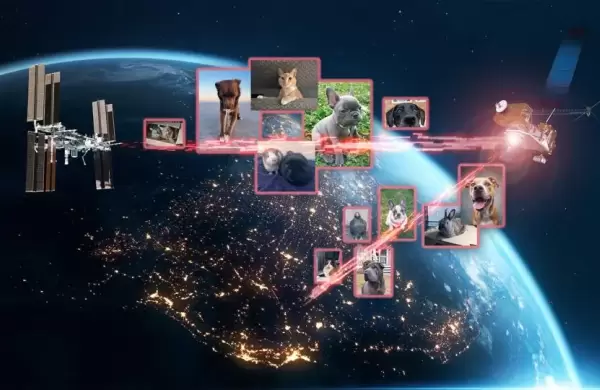 Por qué la NASA acaba de enviar con láser 500 fotografías de mascotas al espacio