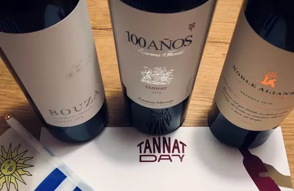 Blancos, tintos y jóvenes uruguayos: qué vinos comprar, guardar y vender según el director de Iber