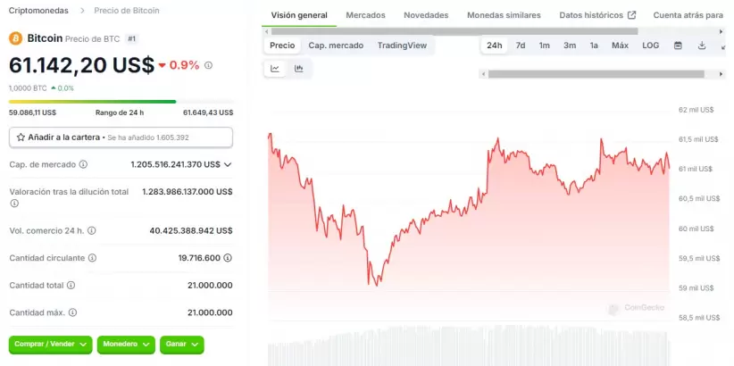 Precio de Bitcoin durante el martes 25 de junio de 2024 (Fuente: Coingecko)