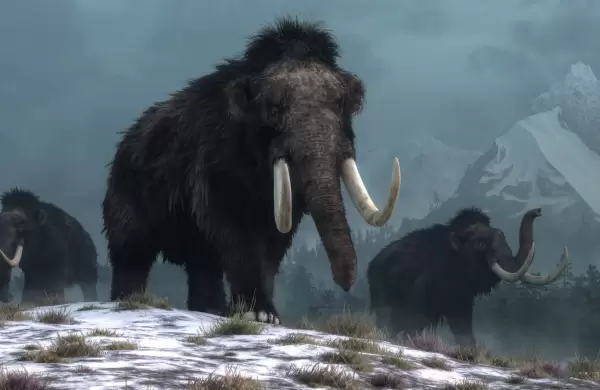 Nuevas evidencias de ADN desafían la teoría de la extinción del mamut lanudo