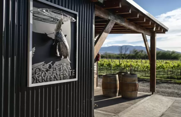 Vinos de Chubut: la heroica aventura vitivinícola en la Patagonia Argentina