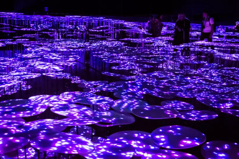 teamLab Borderless, Odaiba, Tokyo, Japan (Domenico Convertini)