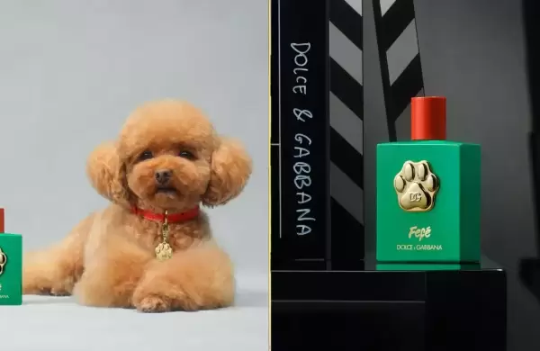 Cómo es y cuánto sale el perfume que lanzó Dolce & Gabbana para perros