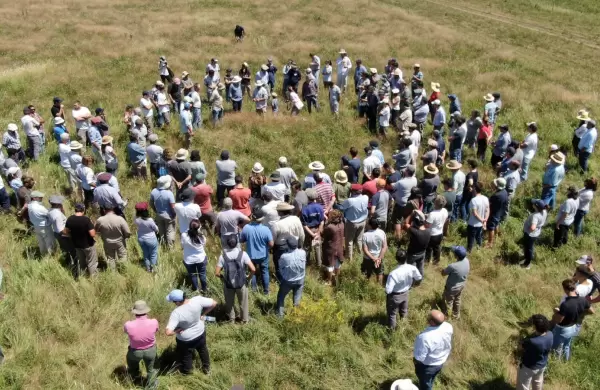 Así será Regenera Latam, el evento que reunirá a productores agropecuarios y empresas por la regeneración