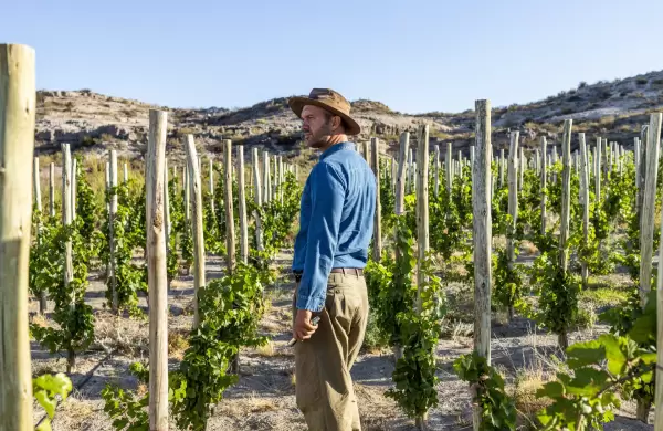 ¿Por qué los chinos pusieron el ojo en los vinos patagónicos?