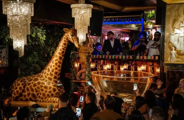 Todo sobre el speakeasy con temtica de Taylor Swift que abri en Manhattan