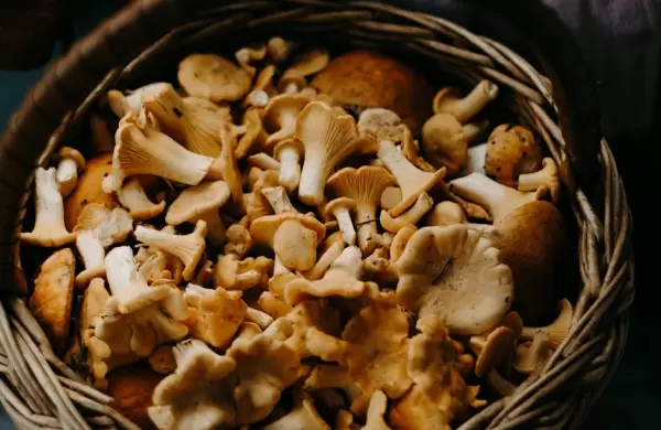 El "boom fungi": por qué los hongos tomaron un nuevo protagonismo en la industria alimenticia y de la salud