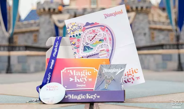 Disneyland magic key