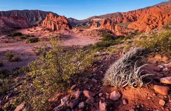 Desde Argentina hasta Australia: 15 viajes increíbles para hacer en el 2025