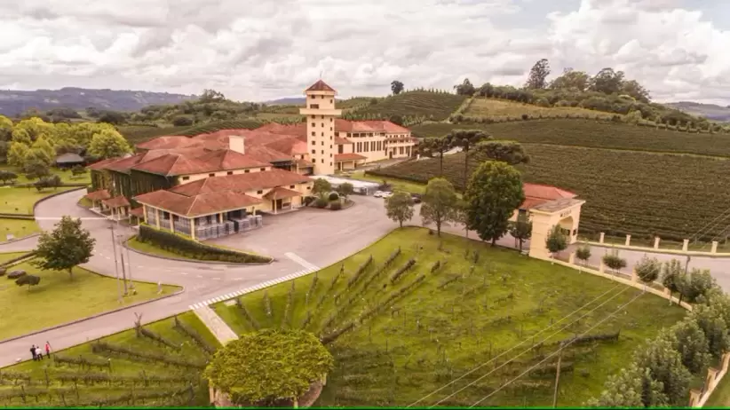 Vista area de Bodega Miolo en Brasil, la bodega madre de Grupo Miolo. Imagen: Emerson Ribeiro