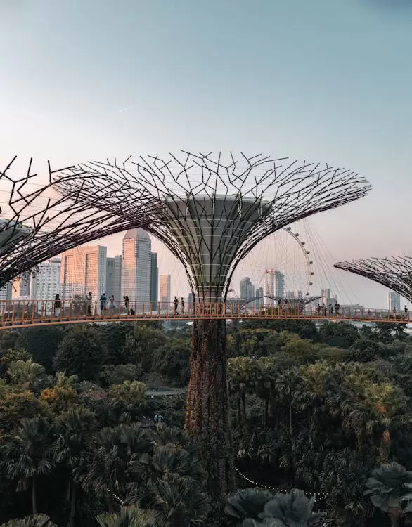 Singapur