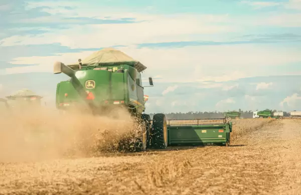Un análisis de cómo logró Brasil superar a EE.UU. en los mercados mundiales de producción y exportación de soja