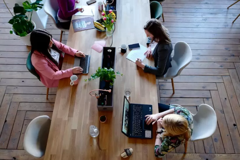 emprendedores