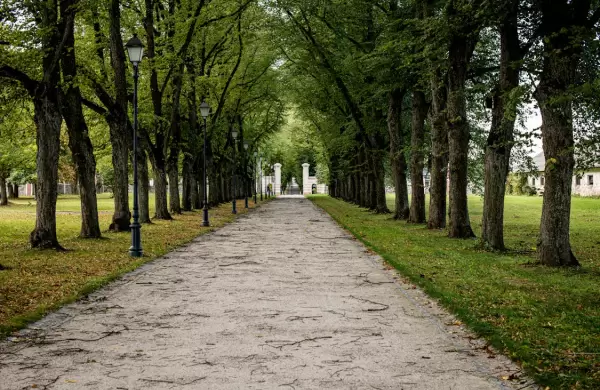 Tres ciudades verdes europeas premiadas que hay que tener en cuenta en 2025