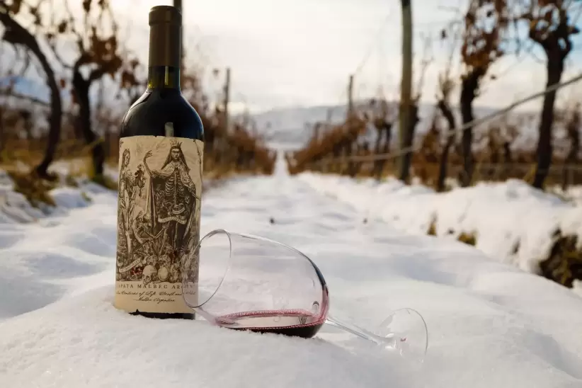 Malbec Catena Zapata