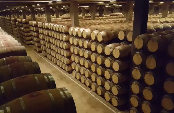 Nace uno de los tres gigantes vitivincolas: la operacin que sumar ventas globales por casi US$ 1000 millones