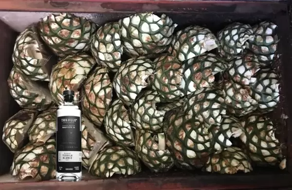 Este es el mejor tequila del mundo, segn The 2025 Agavos Awards