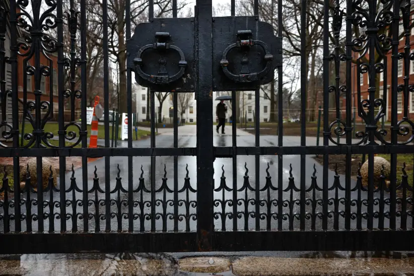 harvard universidad.jp