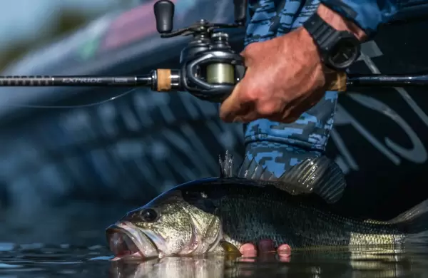 Ideales para la pesca: qué comprar, vender y guardar según Andrés Almansa, propietario y director de Gran Aventura