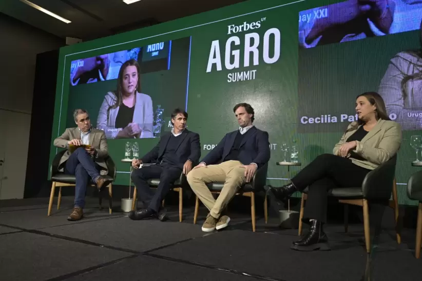 Andrés Oyhenard, Francisco Bonino, Nicolás Sapelli y Cecilia Pattarino. Foto: Diego Olivera.