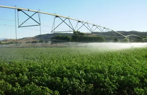 Reflexiones sobre la adopción del riego suplementario en Uruguay