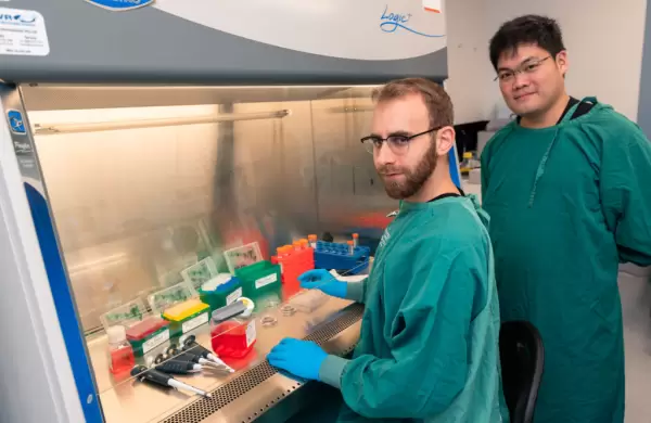 Crean la primera computadora con neuronas humanas vivas que se programa como si fuera código