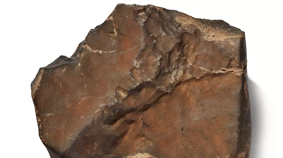 NWA 16788, un meteorito marciano, se subastar el 16 de julio de 2025.
Sotheby'