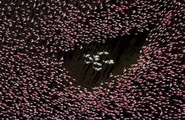 La naturaleza desde el aire en 20 increbles fotos