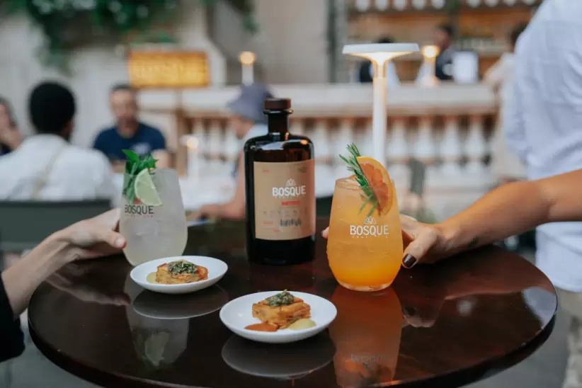 Gin Bosque