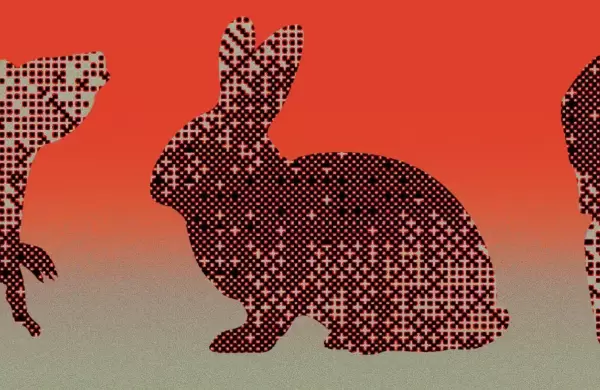 Cómo la IA y los miniórganos podrían reemplazar las pruebas de medicamentos en animales