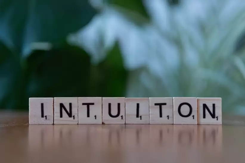 Intuicin