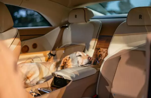 Rolls-Royce crea un Spectre único como homenaje a un perro: así es el modelo Bailey