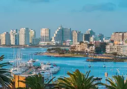 El nuevo precio del tax holiday: expertos analizan qu est en juego