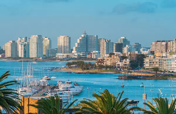 El nuevo precio del tax holiday: expertos analizan qué está en juego