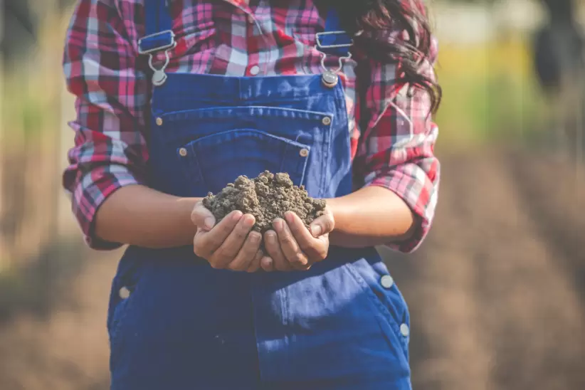 Mujeres en el agro