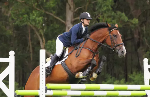 China abre la puerta a Uruguay: los criadores de caballos deportivos miran a un mercado gigante