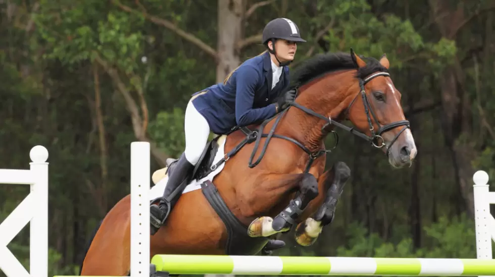 Caballo. Foto: Gentileza MGAP