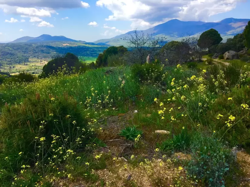 Regin montaosa al sur de Madrid, Espaa